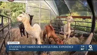 Aiken HS students get real-life agricultural experience at community garden, animal farm