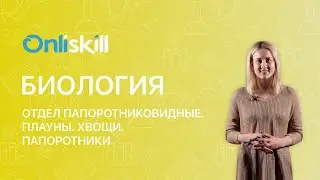 БИОЛОГИЯ 6 класс: Отдел Папоротниковидные. Плауны. Хвощи. Папоротники