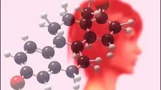 Гормоны Химия нашего тела Документальный фильм