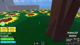 A glitchy shadow in blox fruits 4