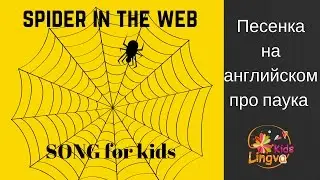 Детская песенка на английском языке про паучка в паутине The spider in the web Song for kids