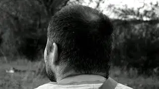 andrei doboș - interese oculte