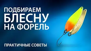 Подбираем блесну на форель. Практичные советы от профессионала