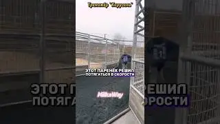 🐎 Пацан устроил забег в тренажёре для ЛОШАДЕЙ 