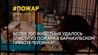 Крупный пожар произошел в барнаульском приюте "Бусинка"