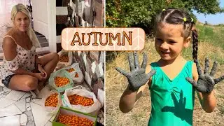 Осень на даче | A Cozy Autumn Day at Home - Cottage Life Vlog