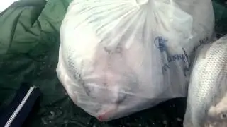 Рыбалка, ловля воблы на мормышку 1 из 3