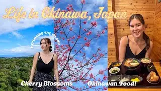 Life in Okinawa, Japan🌸 ~ New Cafes, Nakijin Castle Ruins, Okinawan Food & Cherry Blossoms!