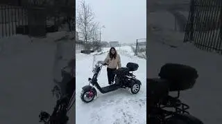 Лучший помощник за городом! 
