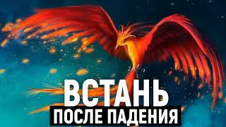 КАК ВСЕГДА ИДТИ ВПЕРЁД несмотря на неудачи. Наука дисциплины