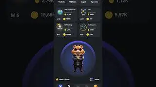Hamster Kombat - Карточки для Комбо Сегодня! (25.05-26.05) 