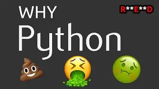 5 Reasons Why Python Developers Hate Python