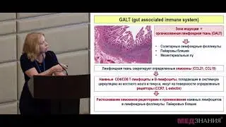 04 Иммунная система ЖКТ: особенности становления и функционирования