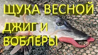 🔥 ЩУКА ВЕСНОЙ на ВОБЛЕРЫ и ДЖИГ. Успешная ловля пассивной щуки по холодной воде на разные приманки 🔥