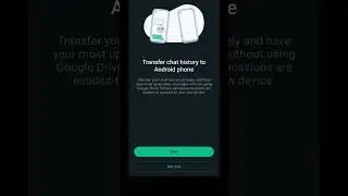 Transfer Your WhatsApp Chat History Without Google Drive