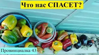 Что нас спасет?