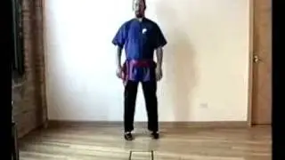 Clyman's (1A)Temple Style Tai Chi, Foundation Fundaments