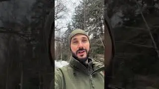 Запрет 🚫 на ввоз валюты #shotrs #адвокат #интересно