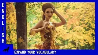 Meeting a wood sprite! | English Listening Lesson (Describing Photos)