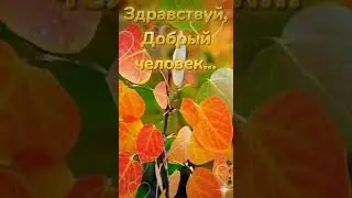 Доброе Утро !!!