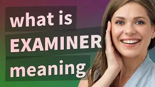 Examiner | meaning of Examiner