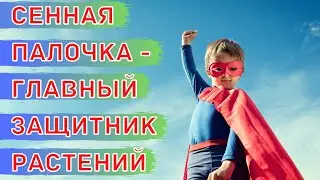 Биологическая защита растений от болезней - экономично и эффективно! НПП Сибирские Гуматы
