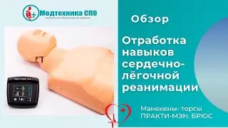 Обзор манекенов-торсов для отработки навыков сердечно-лёгочной реанимации