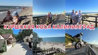 VLOG🇷🇺: СВЕТЛОГОРСК/ КУРШСКАЯ КОСА-ДЮНЫ/ Танцующий лес 🌳КАЛИНИНГРАД