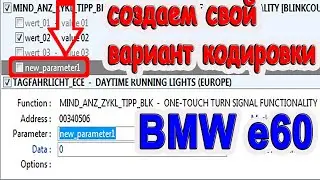 Как кодировать БМВ е60 не стоковым вариантом в NCS expert