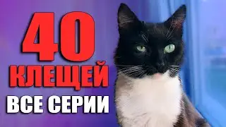 Спасение кота Маркиза от клещей. Все серии подряд / SANI vlog