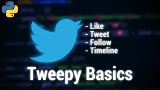 Beginner Tweepy Tutorial [Python]