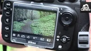 Nikon D800 review