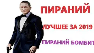 ЛУЧШЕЕ МОМЕНТЫ ЗА 2019 ГОД пираний бомбит