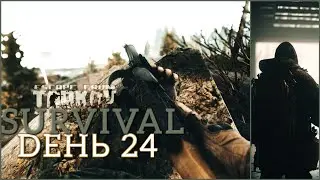 Тарков День #24. Начинаем всё с нуля после вайпа. Патч 013 и новая локация Улицы Таркова