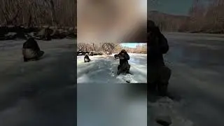 Исключительно на Дрочилин! |рыбалка в России | #fishing  #рыбалка #shorts