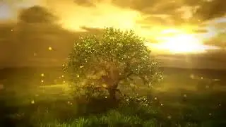 3207  - Nature Tree Leaf Sunny Day Logo Reveal animation intro