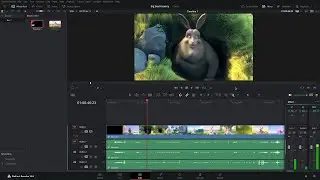 Davinci Resolve installed in Freebsd Jail