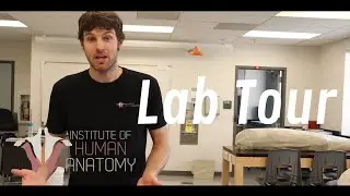 Tour of the Institute of Human Anatomy