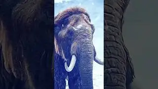 OTYKEN - ICE AGE / SPOTIFY / Apple AirPlay / Deezer / Google PlayMusic / Apple music 