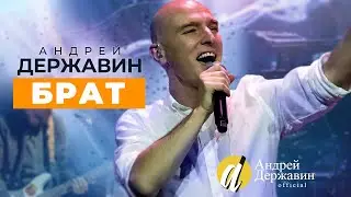Андрей Державин - Брат