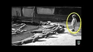 5 Летняя девочка упала в террариум к 12 крокодилам, то, что они сделали повергло всех в шок...