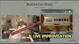 Autoccordion - Live Improvisation - Electric Reed Organ for Kontakt