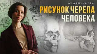 «‎РИСУНОК ЧЕРЕПА ЧЕЛОВЕКА» Презентация онлайн-курса от Евгении Банник | онлайн-школа Akademika