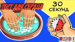 Узнай в норме ли твое сердце по 3 простым тестам