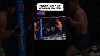 После такого НОКАУТА его сразу ПОДПИСАЛИ в UFC 😨 