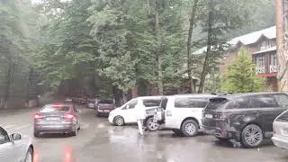 Bu gün Qəçrəş möhtəşəmdir!