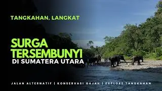 Ekowisata Tangkahan Langkat Terbaru 2024 | Jembatan Putus, ini Jalan Alternatif ke Tangkahan Langkat