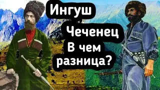 Чем отличаются чеченцы и ингуши?