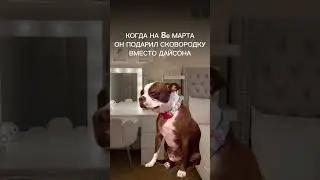Праздник был испорчен