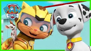 Cat Pack & Moto Pups Rescue Episodes! - PAW Patrol - Cartoons for Kids Compilation